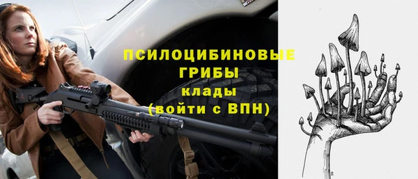амф Новокубанск