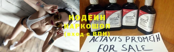 дурь Новодвинск