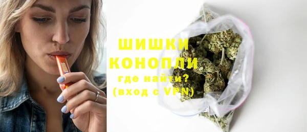дурь Новодвинск