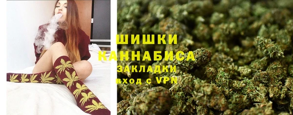 амф Новокубанск