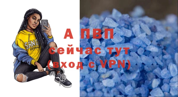 амф Новокубанск