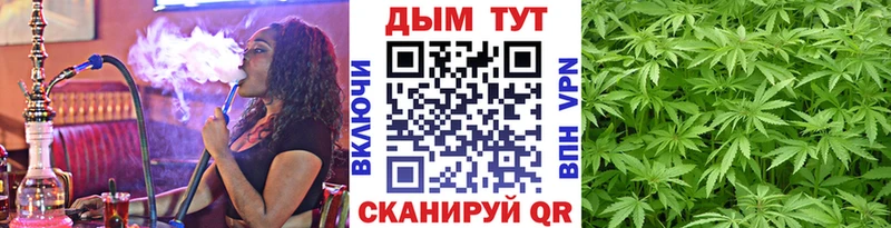 кракен как войти  закладка  Киров  Марихуана Amnesia 